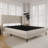 Southington 5'' Metal Box Spring-1036865329