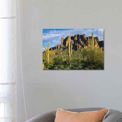 Saguaro Cacti And Superstition Mountains, Lost Dutchman State Park, Arizona I by Tim Fitzharris - Wrapped Canvas Print