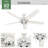 60" Dondra 5 - Blade Fan With Lights and Pull Chains-85433811