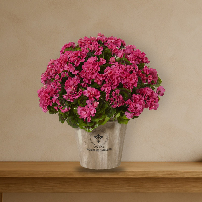 Géranium dans un pot de fleurs artificiel