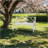 Outdoor Garden Patio Bench,Iron Metal Steel Frame Park Bench With Backrest And Armrest, Slatted Seat For Park, Yard & Porch, Balcony, Accommodates 2-3 People,White