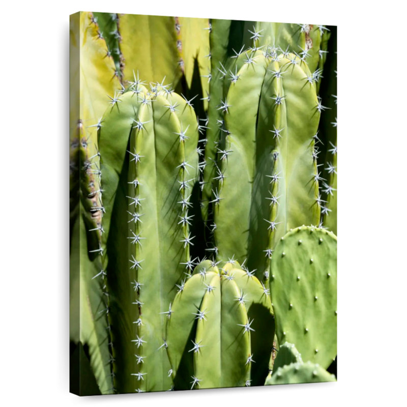 Harnek Cactus Totem, 36" H x 24" W