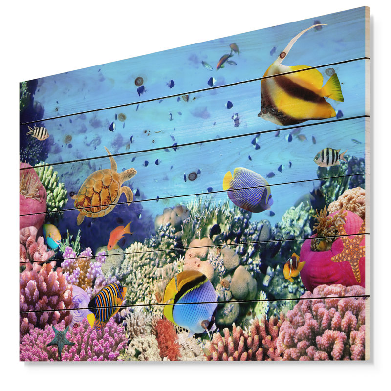 «Coral Colony on Reef Égypte», impression, H 36 po x l 46 po x P 1,5 po, Bois