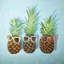 Summer Pineapples - Exotic Brown-951461663