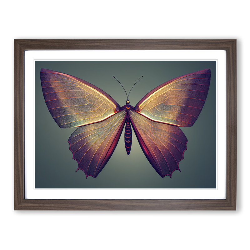 Compelling Butterfly - Single Picture Frame Print, Walnut Framed, 46cm H x 64cm W x 2cm D