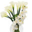 Patric Orchid and Lily Floral Arrangement