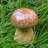 Reich Ceramic Toadstool Statue