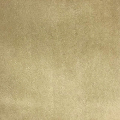 Solid Velvet | Tuscan Fabric