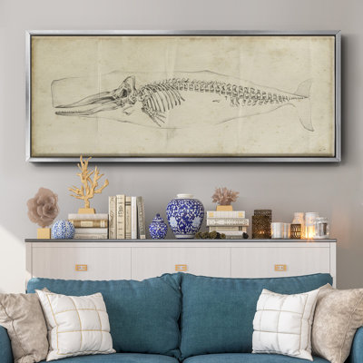 Whale Study II- Framed Canvas