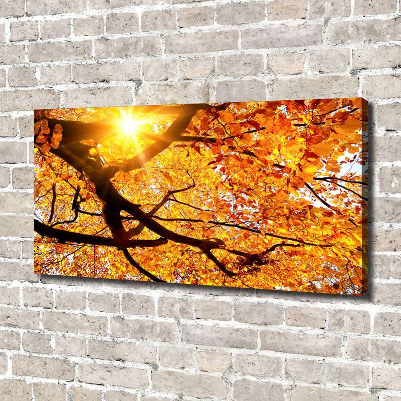 Crown Of Autumn Trees - Wrapped Canvas Print