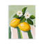 Citrons et marguerites sur nappe murale, design par The Prints Vibe
