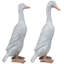 Ducks Outdoor Garden Statues - 17.25" - Set Of 2