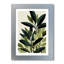 Scandinavian Botanical Eucalyptus Leaves Wall Art for Home Decor Giclee Art Print of minimal scandi illustration, elegant green leaf study 1 Piece Wall Art-2133496987-2133496988