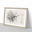 Perched Dragonfly - Picture Frame Painting Print-56851631-56851633