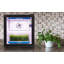 Danby Grow Light