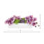 Orchid and Sedum Arranged in Fiberstone Planter-1944020321-1944020326