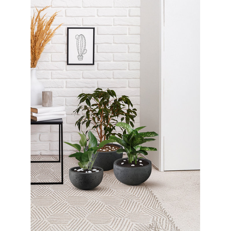 Pot à fleur en ciment noir Ebern Designs, H 7 po x l 11 po x P 11 po