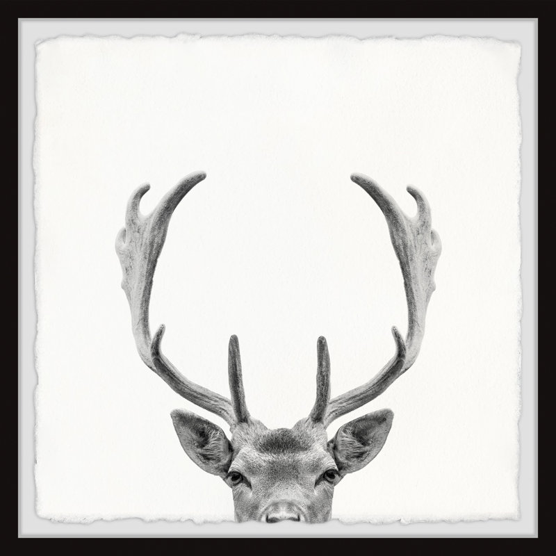 «Giant Antler», reproduction encadrée, H 32 po x l 32 po x P 1,5 po