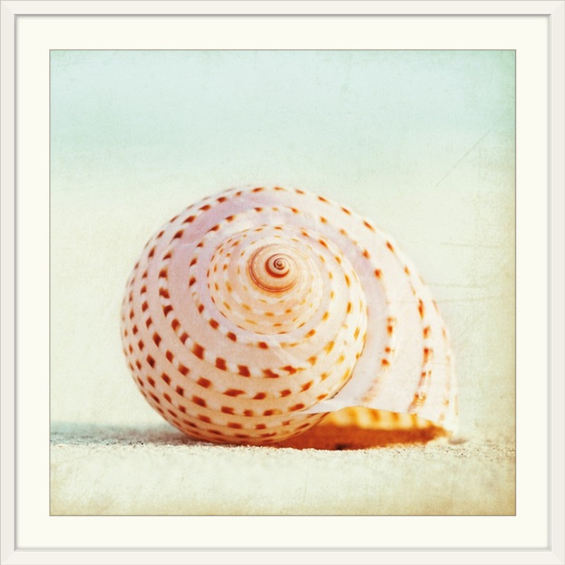 «Matta Seashell Voices» par Carolyn Cochrane, reproduction de photo, Cadre blanc, H 32 po x l 32 po x P 1 po