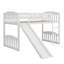Lit mezzanine avec glissoire et échelle-876753336