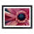 Black Framed selected