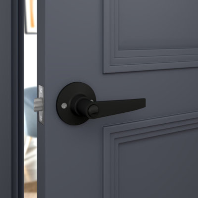 Keyed (Entry) Door Lever