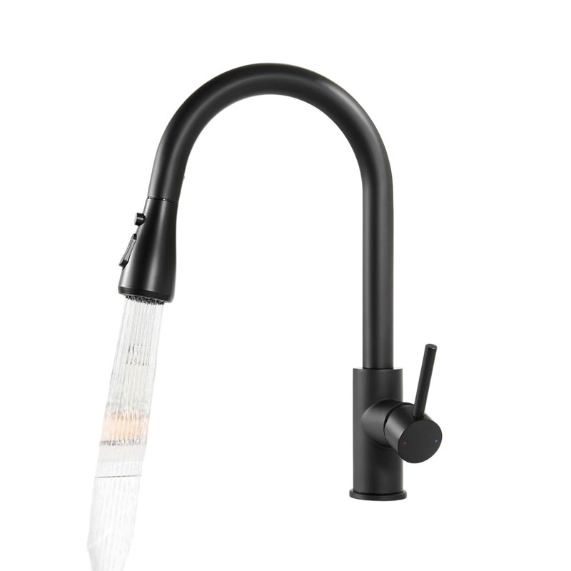 Rebrilliant Kitchen Faucet