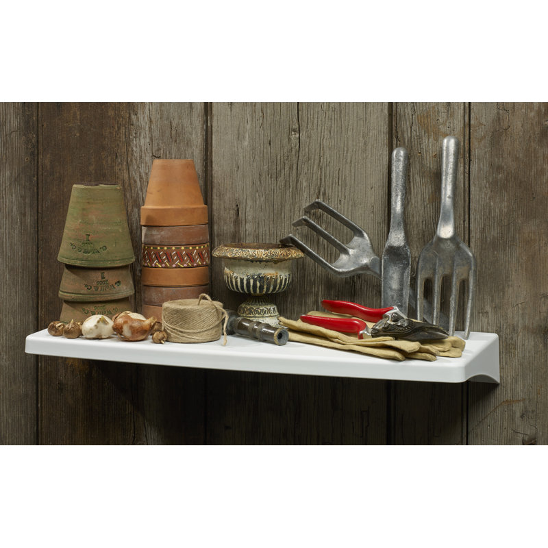 Deundray Plastic / Acrylic Floating Shelf, Green