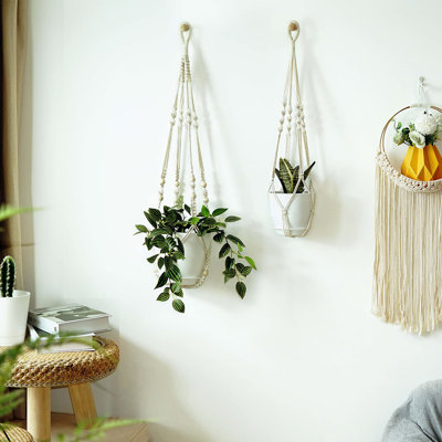 Cintres à plantes avec pots et soucoupes