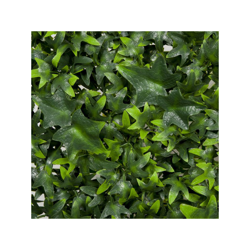 53cm Plant