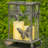 14'' H Tabletop Lantern-1932165827