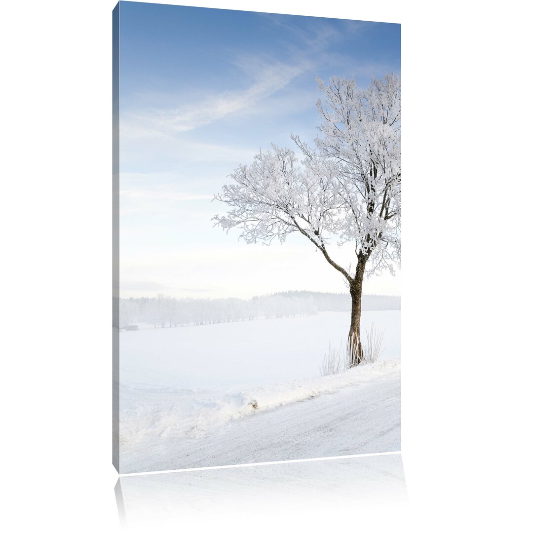 Leinwandbild Baum im Schnee, Fotodruck