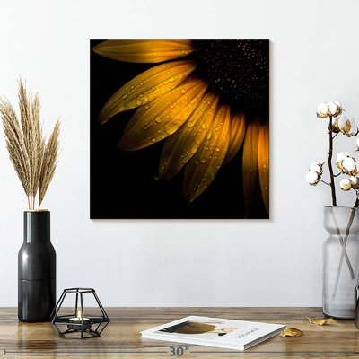 Sunflower Petals Canvas Print