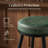 Angelleah Stools with Back, Synthetic Leather-973653301-974126477