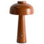 Iron USB Novelty Lamp