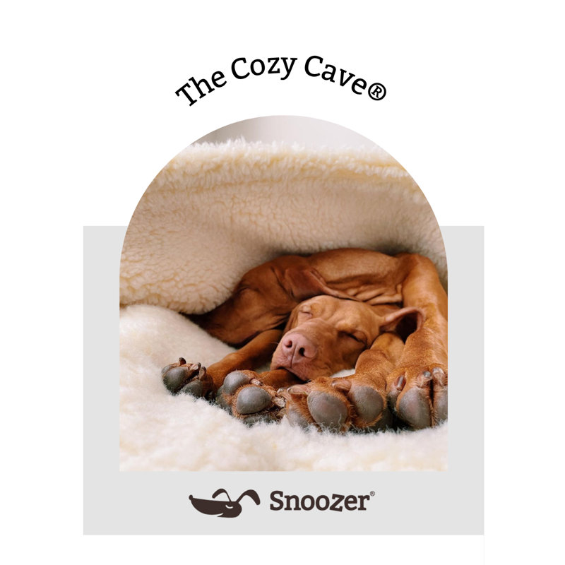 Small Red Poly Cotton Hooded Cozy Cave Dog Bed