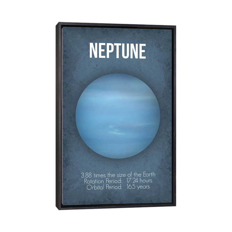 Décoration murale Neptune Kids, H 26 po x l 18 po x 1,5 po, Toile encadrée noir délavé