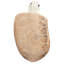 Tortues de granit naturel-1480066351