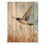 Bird Swallow Over The Fields I - Décoration murale en bois d'oiseau - sur bois de pin naturel-2002409037