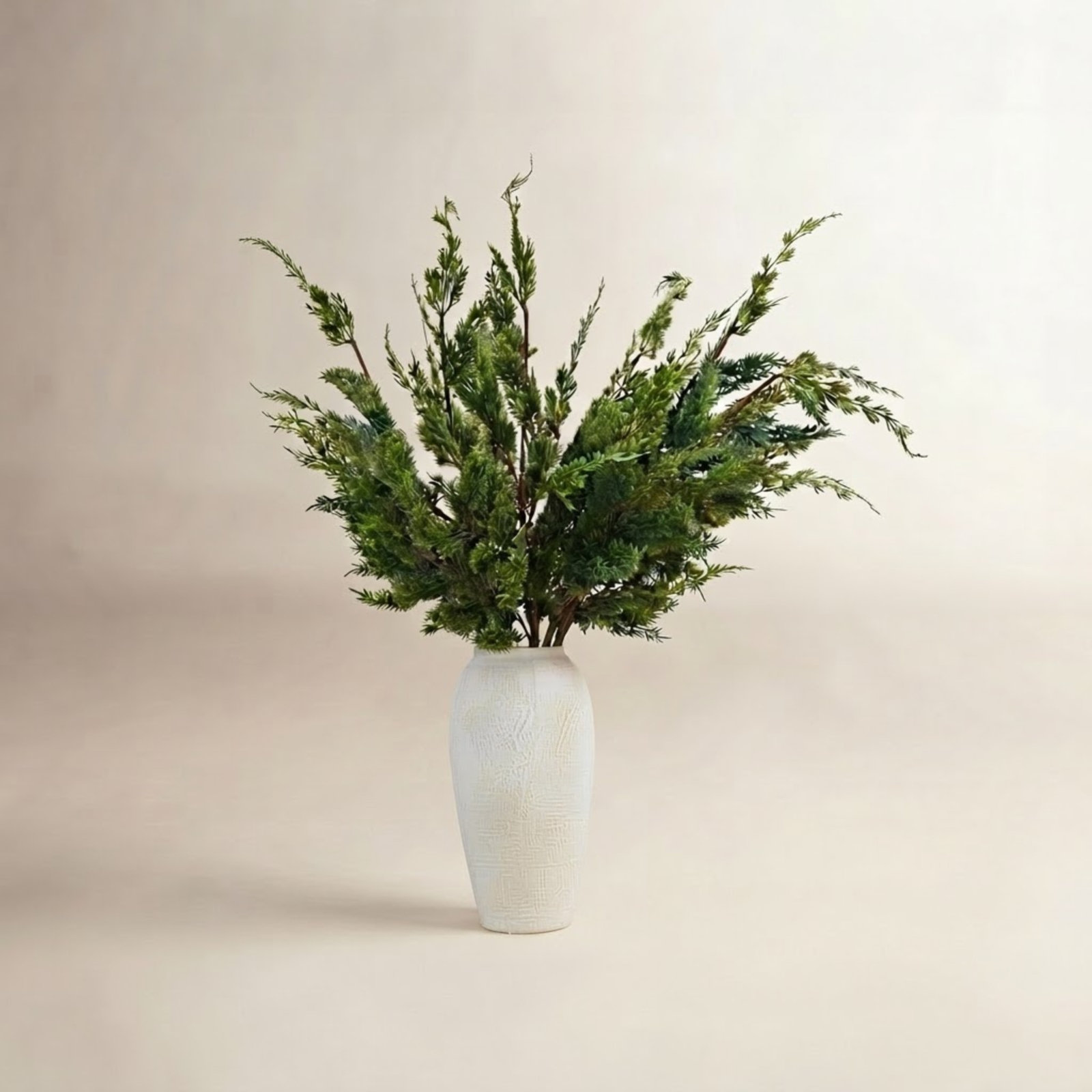 38" Norfolk Pine Branch
