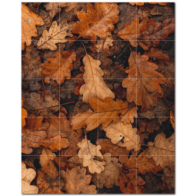 12 x 12