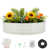 White is out of stock selected