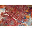 One-of-a-Kind 9'10" X 13'5" Area Rug