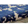 Toohey Damask Indoor Rug