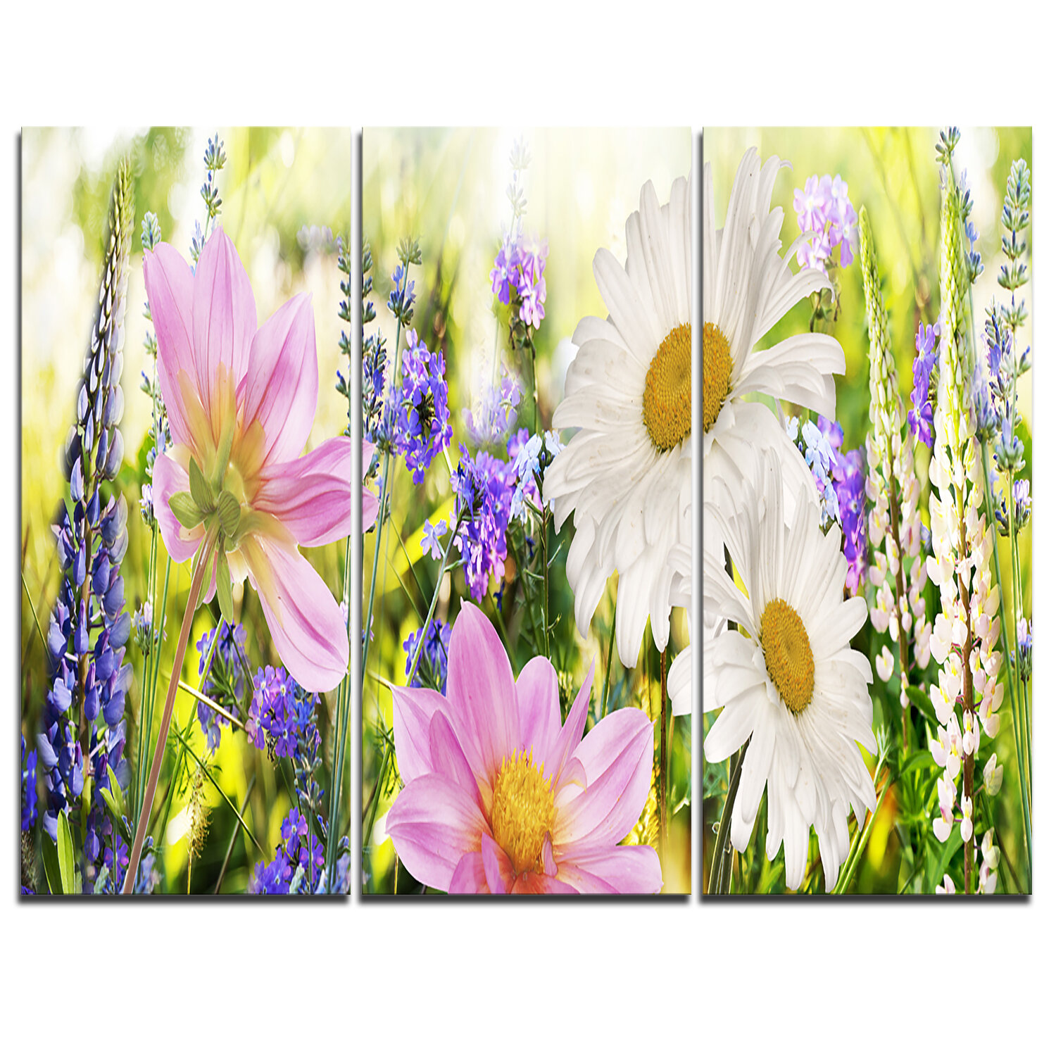 Design Art Wild Flowers Field at Sunset - 3 Piece Graphic Art on ...