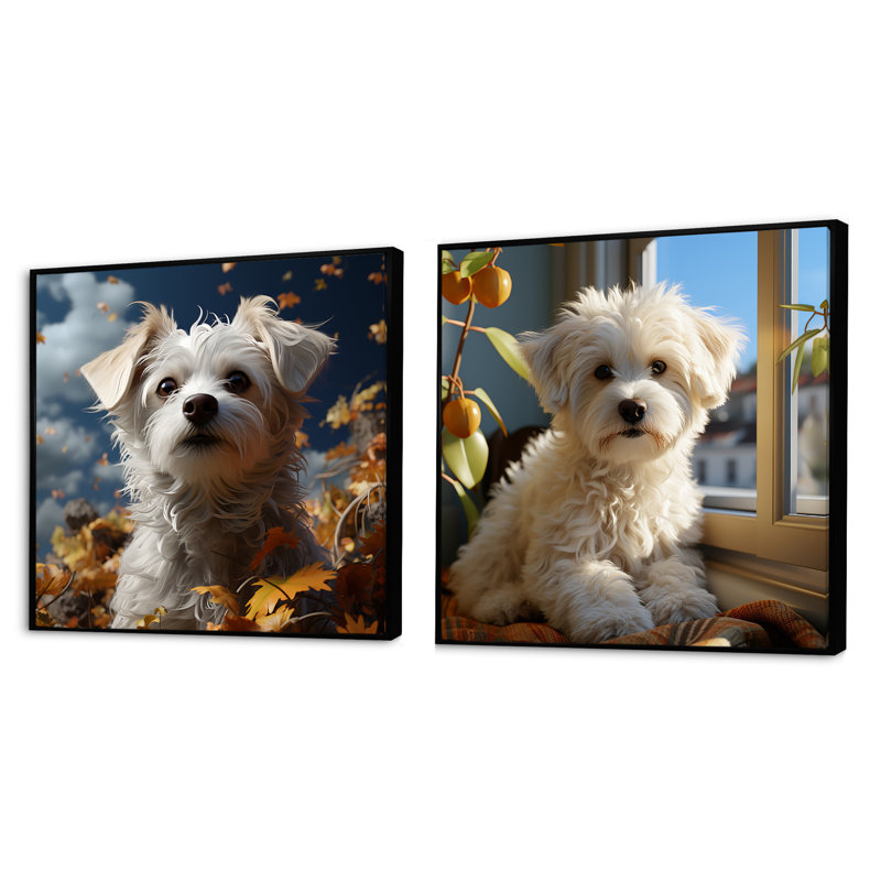 Bichon Breeze - ensemble de 2 animaux carrés, Cadre flottant noir, H 16 po x l 33 po
