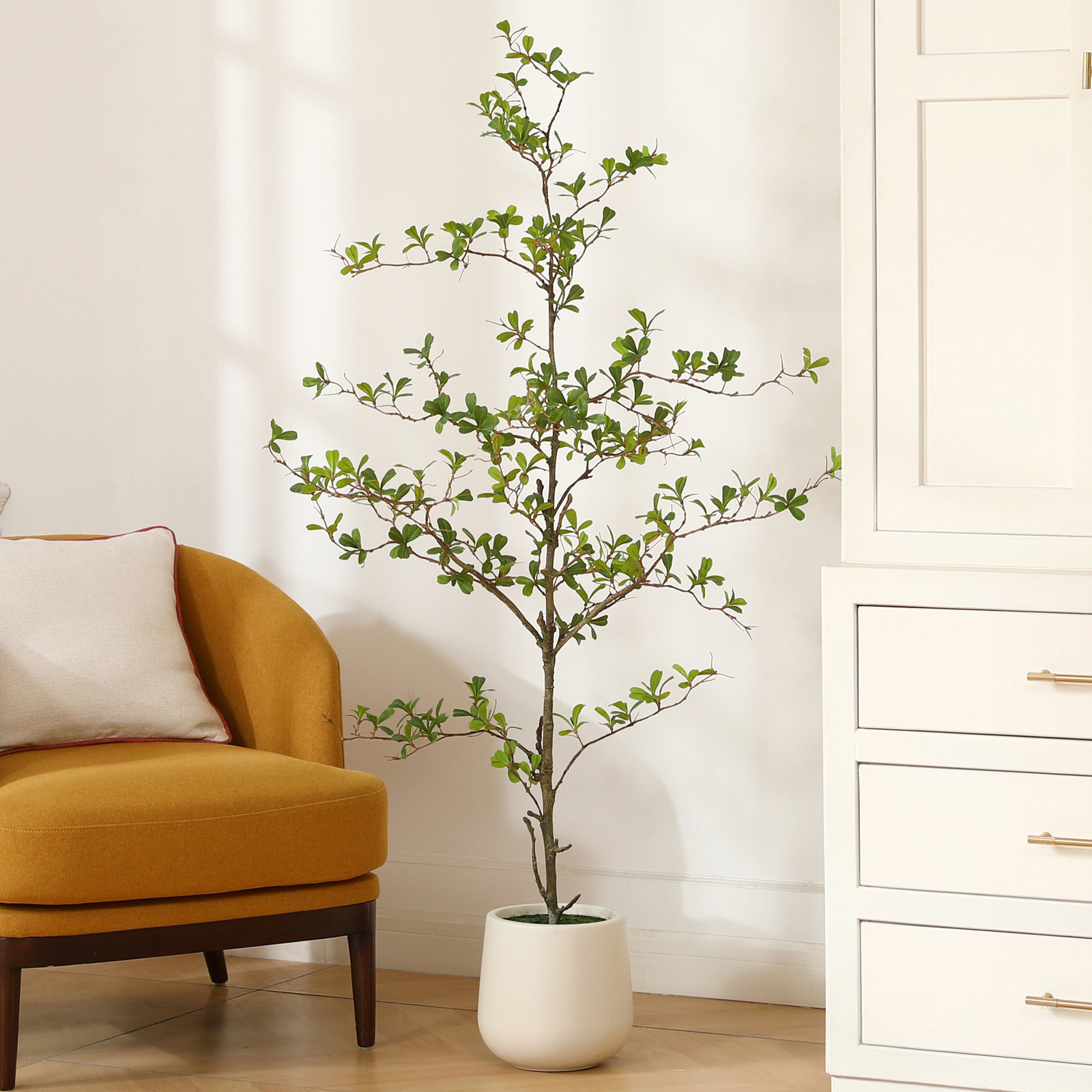George Olive Tree in Pot, 60" H x 20" W x 20" D