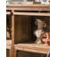 Buffet en bois massif et verre trempé de style Wabi-sabi