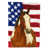 Cheval - Paint Horse - Overo