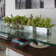 Centre de table orchidée Driftwood Cymbidium-898860794-898860795